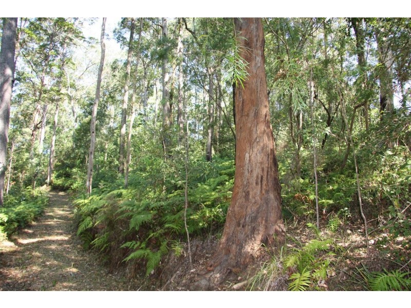 11 Barmark Court, Tallebudgera Valley QLD 4228