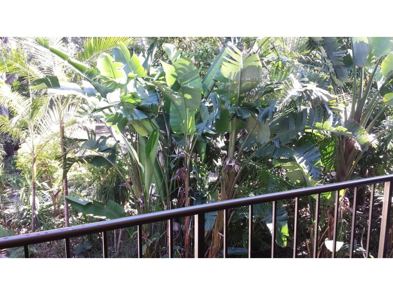 22 Barbet Street, Burleigh Waters QLD 4220