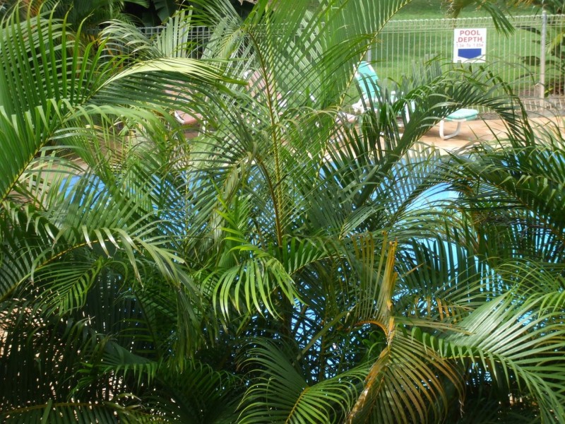 22 Barbet Place, Burleigh Waters QLD 4220