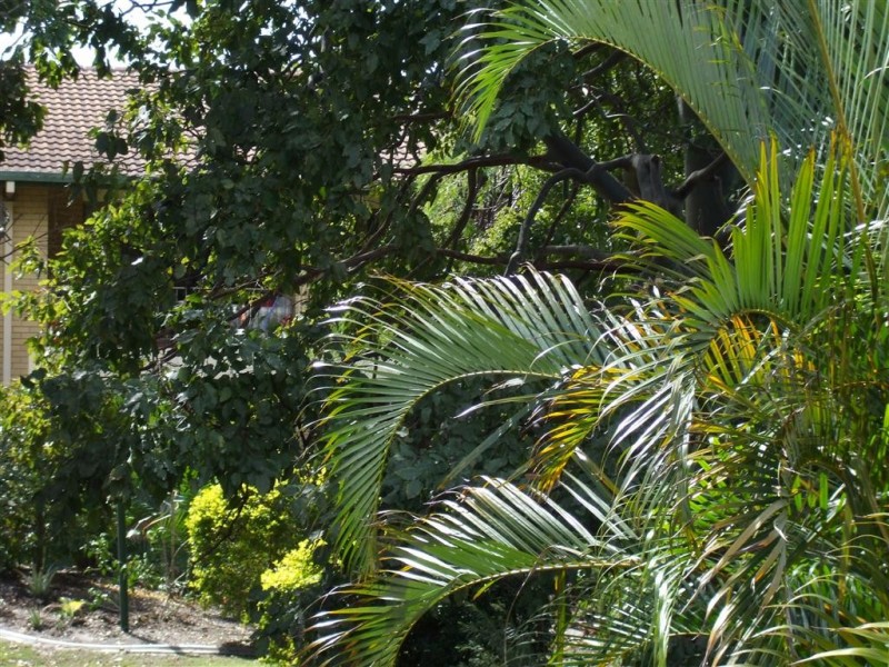 22 Barbet Place, Burleigh Waters QLD 4220