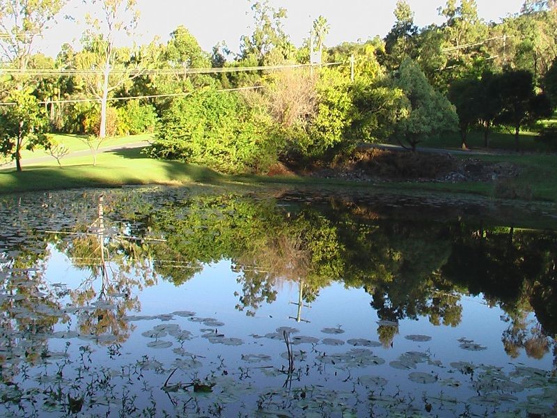 31  Uplands Court, Tallai QLD 4213