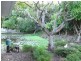 31  Uplands Court, Tallai QLD 4213