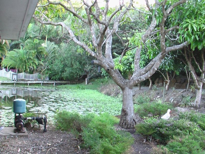 31  Uplands Court, Tallai QLD 4213