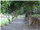 31  Uplands Court, Tallai QLD 4213