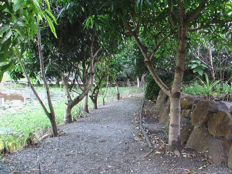 31  Uplands Court, Tallai QLD 4213