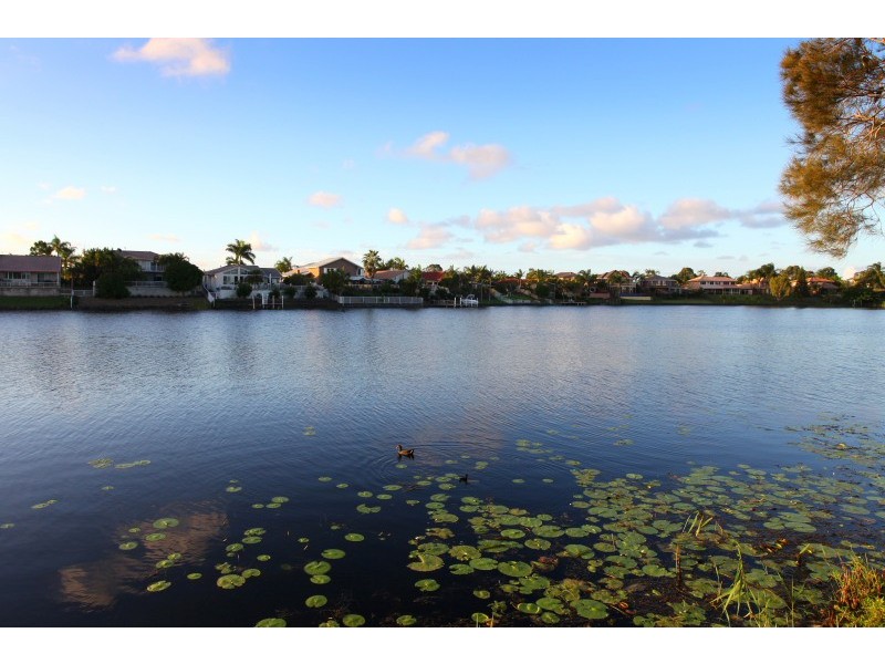 21 Tortuga Place, Clear Island Waters QLD 4226