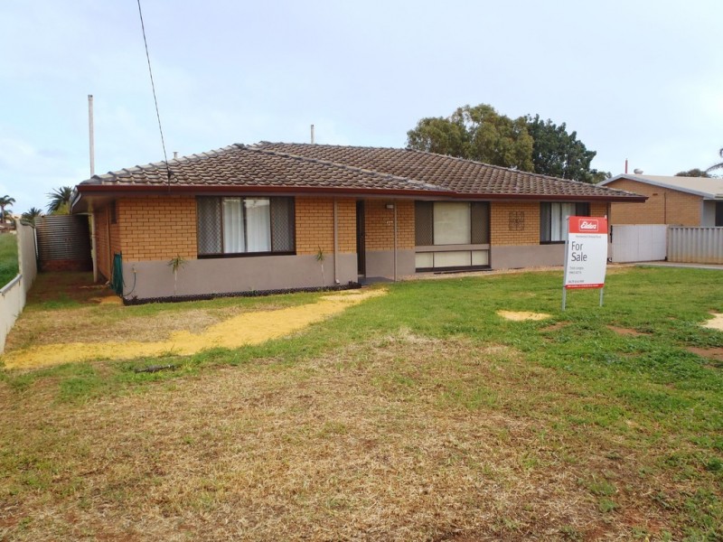 137 Anderson Street, Spalding WA 6530