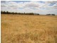 460 Stephens Road, Gutha WA 6623