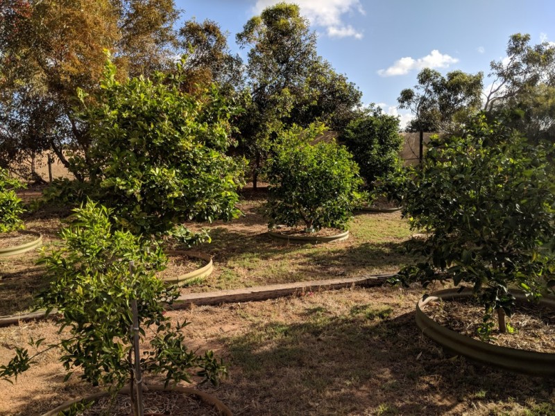 88 Eliza Shaw Drive, White Peak WA 6532