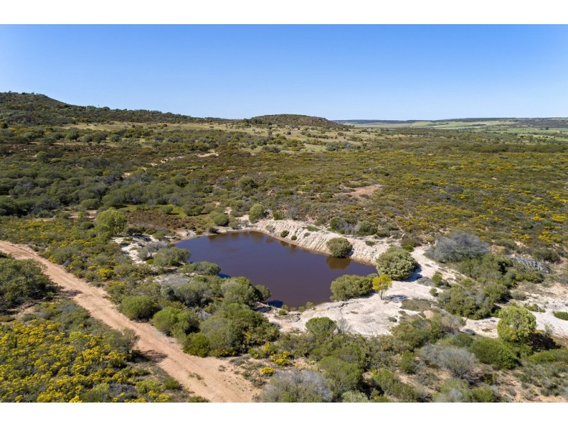 143 Ridley Place, Howatharra WA 6532