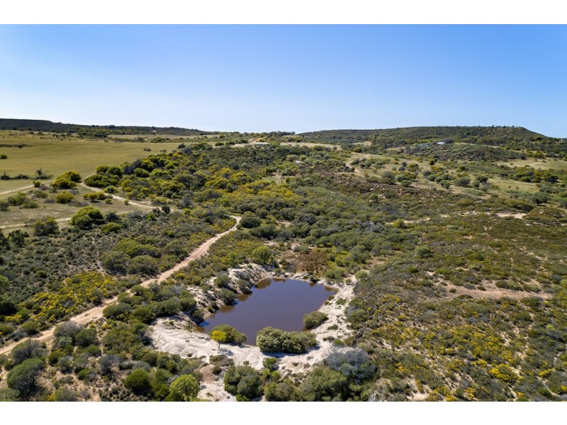 143 Ridley Place, Howatharra WA 6532