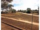 29 Gray Street, Mullewa WA 6630