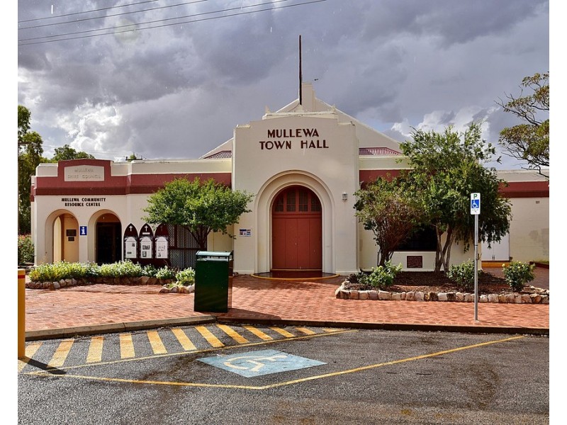 29 Gray Street, Mullewa WA 6630