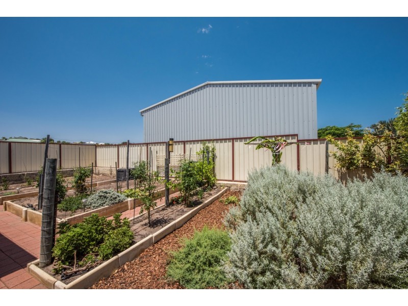 45 Wave Crest Circle, Drummond Cove WA 6532