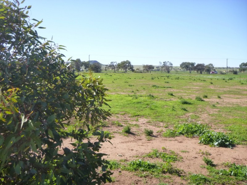 218 Eastlyn Drive, Deepdale WA 6532