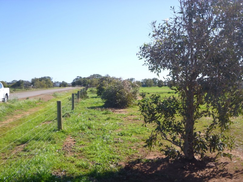 218 Eastlyn Drive, Deepdale WA 6532