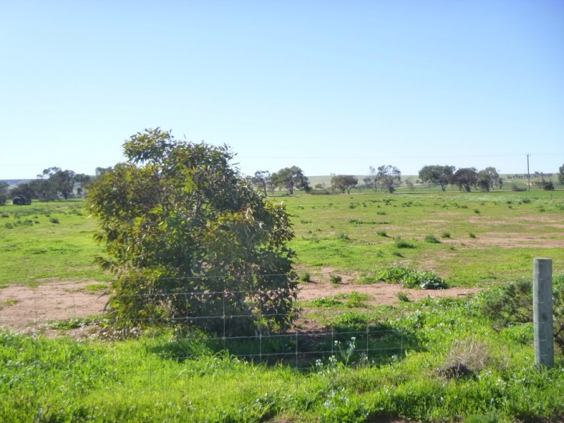 218 Eastlyn Drive, Deepdale WA 6532