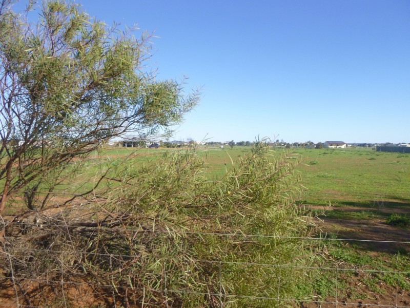 218 Eastlyn Drive, Deepdale WA 6532