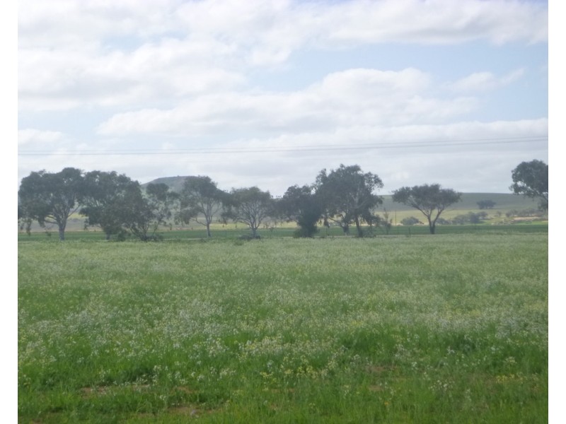 204 Eastlyn Drive, Deepdale WA 6532