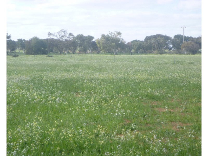 204 Eastlyn Drive, Deepdale WA 6532