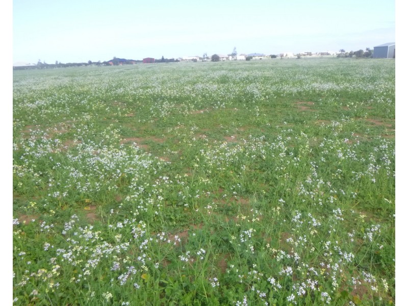 204 Eastlyn Drive, Deepdale WA 6532