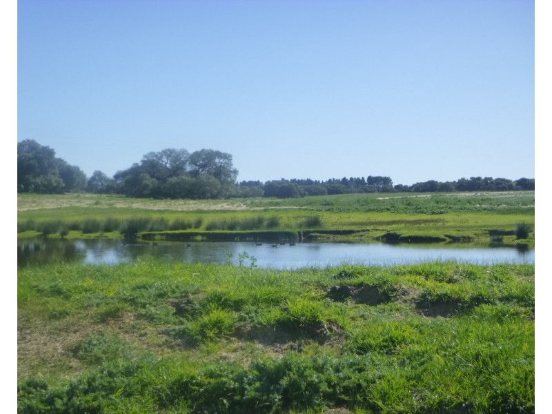 2309 GILLINGARRA ROAD, Regans Ford WA 6507