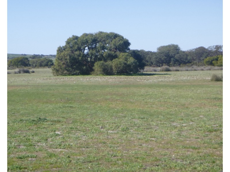 2309 GILLINGARRA ROAD, Regans Ford WA 6507