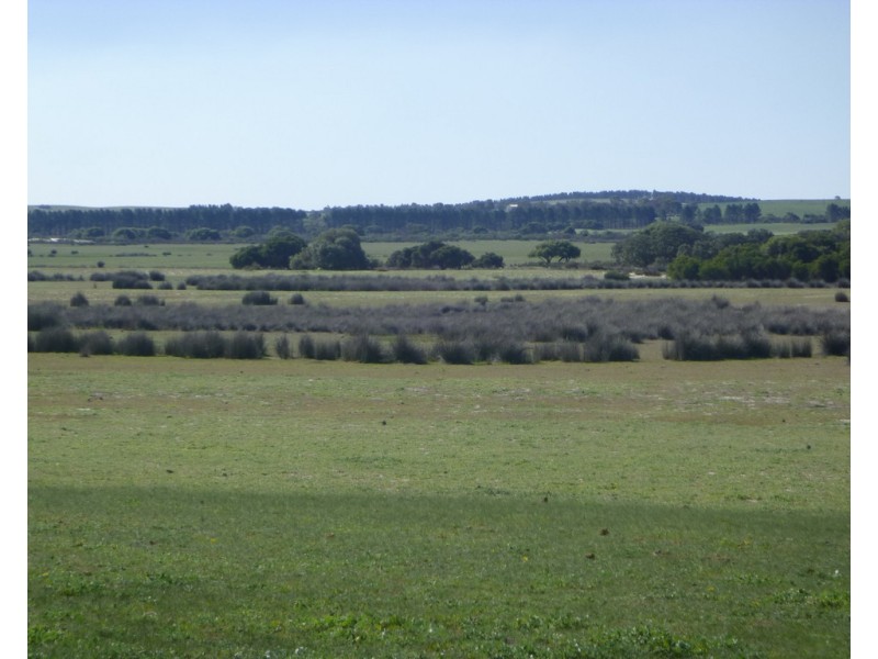 2309 GILLINGARRA ROAD, Regans Ford WA 6507