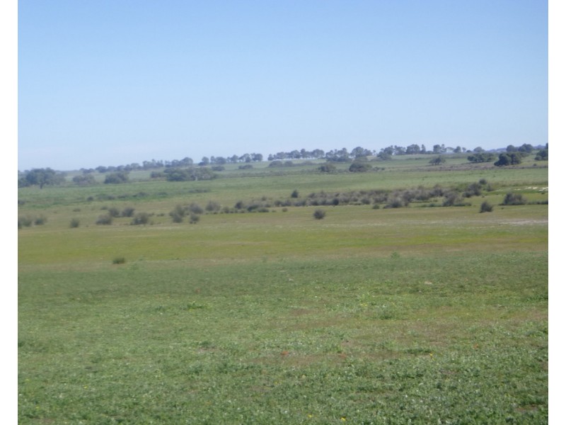 2309 GILLINGARRA ROAD, Regans Ford WA 6507