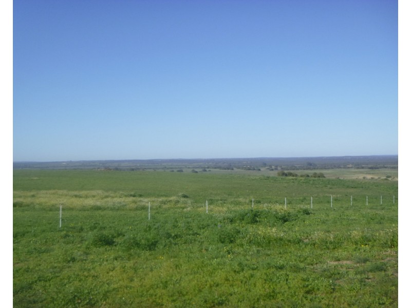 2309 GILLINGARRA ROAD, Regans Ford WA 6507