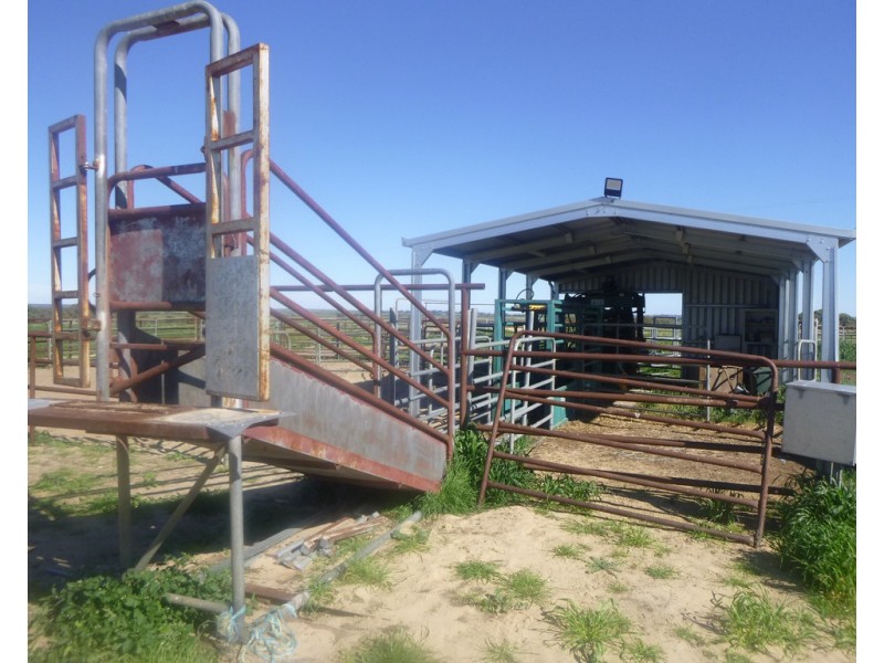 2309 GILLINGARRA ROAD, Regans Ford WA 6507