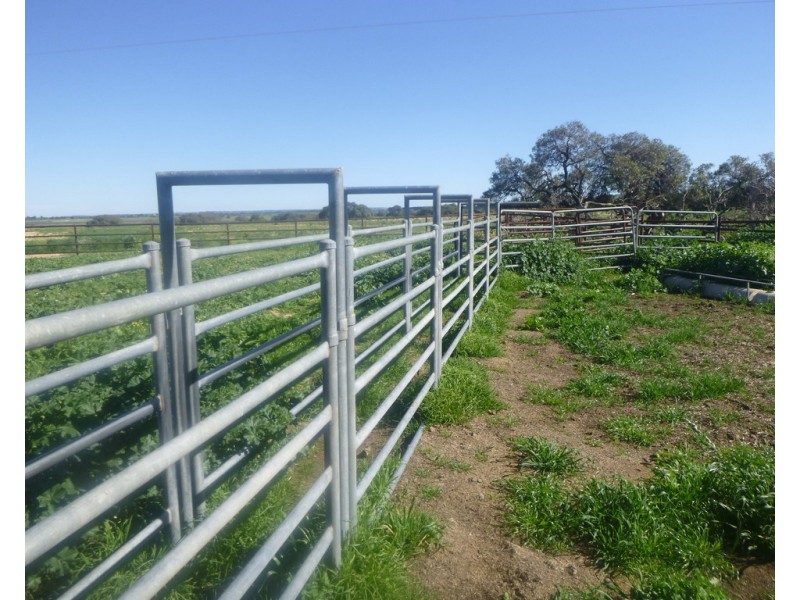 2309 GILLINGARRA ROAD, Regans Ford WA 6507