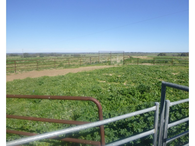 2309 GILLINGARRA ROAD, Regans Ford WA 6507