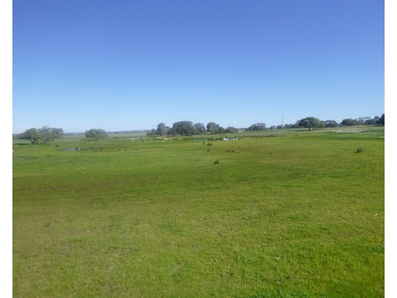 2309 GILLINGARRA ROAD, Regans Ford WA 6507