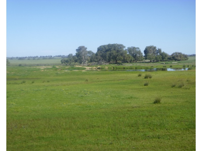 2309 GILLINGARRA ROAD, Regans Ford WA 6507