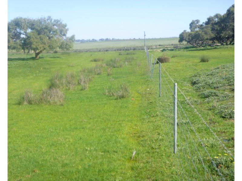 2309 GILLINGARRA ROAD, Regans Ford WA 6507