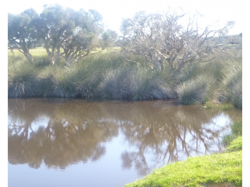 2309 GILLINGARRA ROAD, Regans Ford WA 6507