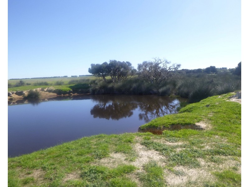 2309 GILLINGARRA ROAD, Regans Ford WA 6507