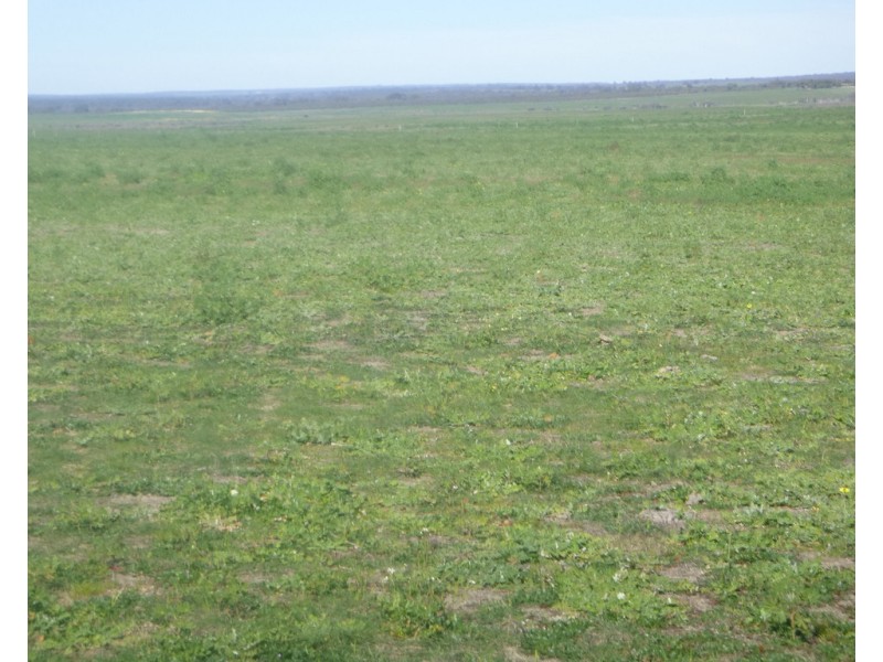 2309 GILLINGARRA ROAD, Regans Ford WA 6507