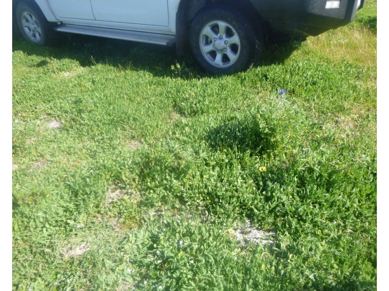 2309 GILLINGARRA ROAD, Regans Ford WA 6507