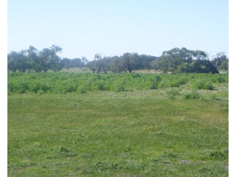 2309 GILLINGARRA ROAD, Regans Ford WA 6507