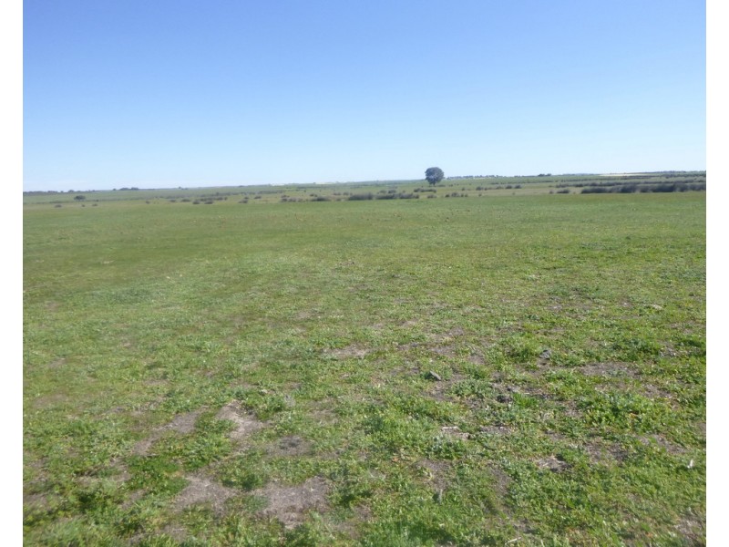 2309 GILLINGARRA ROAD, Regans Ford WA 6507