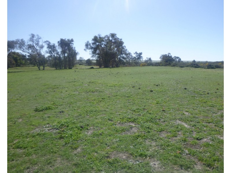 2309 GILLINGARRA ROAD, Regans Ford WA 6507