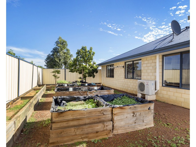 3 ANDREW LANE, Waggrakine WA 6530