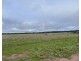 Lot 10437 PALLOTINE ROAD, Tardun WA 6628