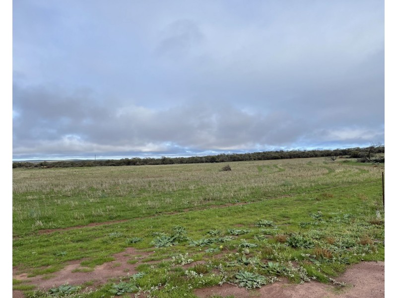Lot 10437 PALLOTINE ROAD, Tardun WA 6628