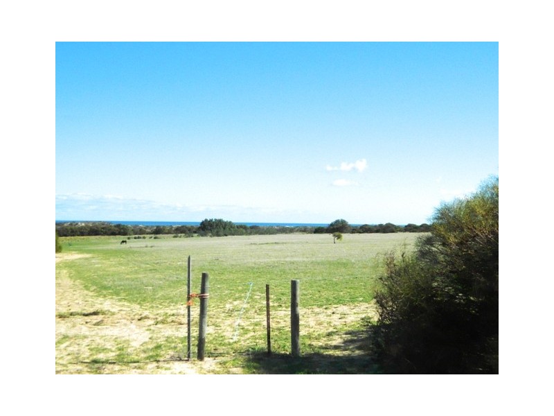 344 GAELIC STREET, Glenfield WA 6532