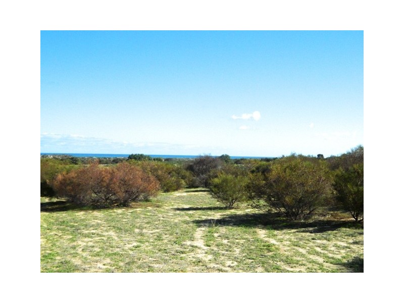 344 GAELIC STREET, Glenfield WA 6532