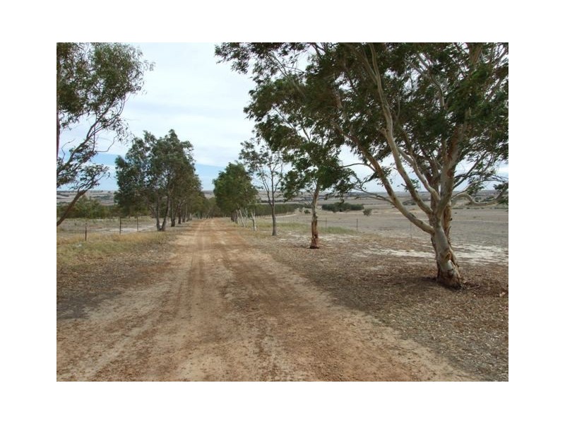 168 Bunter Way, Howatharra WA 6532