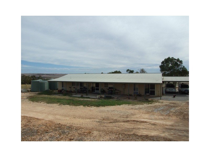 168 Bunter Way, Howatharra WA 6532